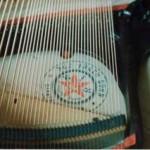 close up van bassnaren